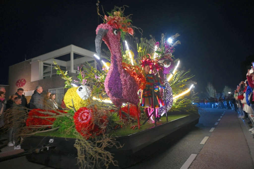 ../Images/Verlicht bloemencorso 2025 152.jpg